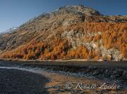 RENATO ZORDAN - Autunnale da Val Savarenche