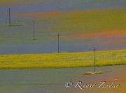 RENATO ZORDAN - Castelluccio