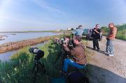 ROBERTO ZAFFI - Saline di Comacchio