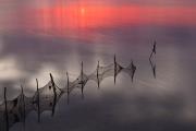 1° Classificato - La Porta Alessandro_Rete al tramonto